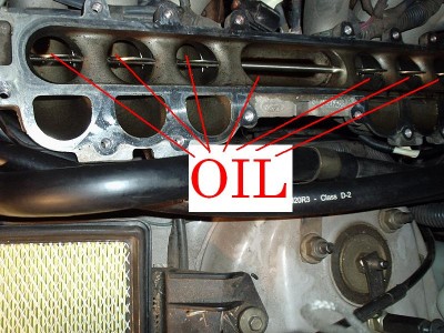 oil in the inlet manifold.JPG