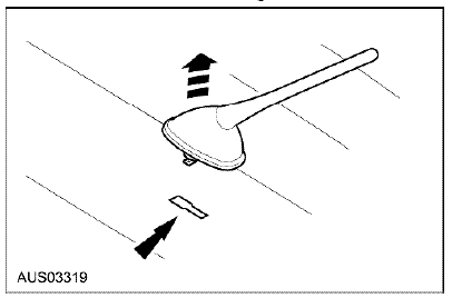 Territory Antenna Amp #2.gif