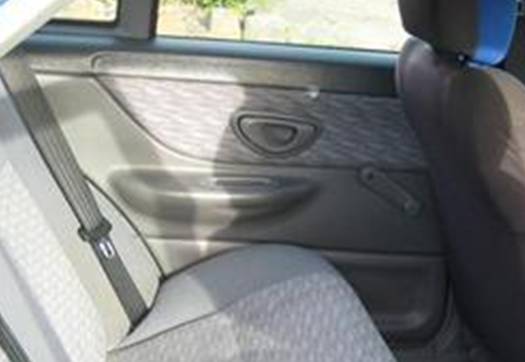 EL Falcon_rear door trim detail.jpg