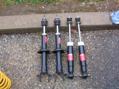 EA - Shocks (Medium).jpg