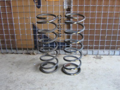 EA S Pack Rear Coils (Medium).JPG