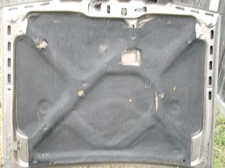 XE bonnet 3.JPG