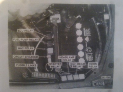 picture of engine bay relays.jpg