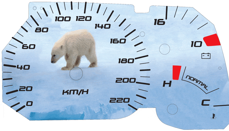 Polar-Speedo.gif