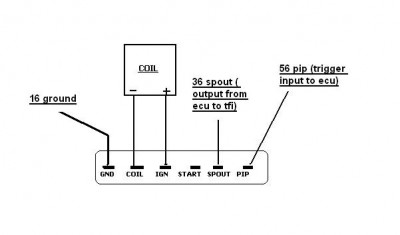 tfi diagram eec.JPG