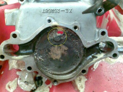 timing cover (marked).JPG