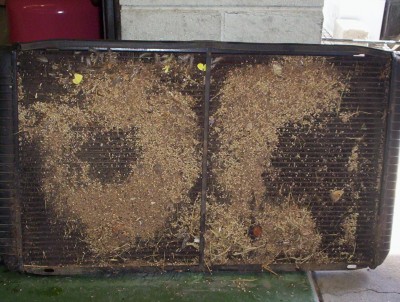 Blocked EL radiator- grass seeds.jpg