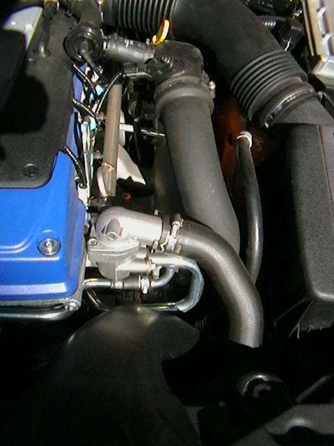 fgf6manifold.JPG