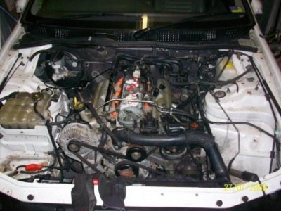 Transplant V8 029web.jpg