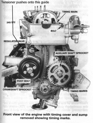 timing chain.jpg