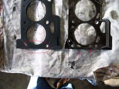 Head Gasket2.jpg