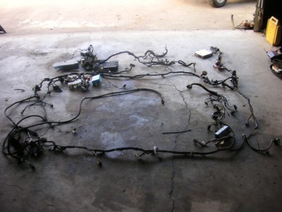 All EF Wiring Looms.JPG