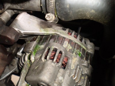 leaking onto alternator (Large).JPG