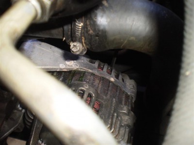 leak from radiator hose to alternator (Large).JPG