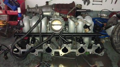 manifold.gif