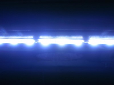 close up of LED strip (Large).JPG