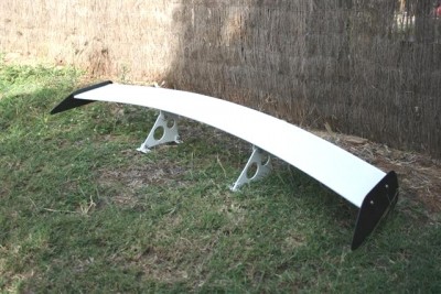 Talon Wing 001 (Small).jpg