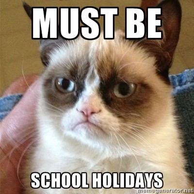 Grumpy Cat school holidays.jpg