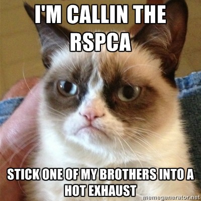 RSPCA.jpg