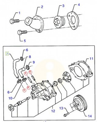 Hose.jpg