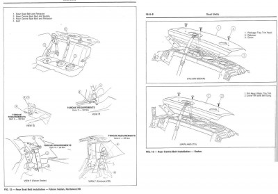 rearbelts.jpg